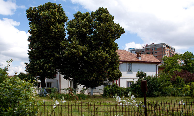 Casa memorială „Tudor Arghezi – Mărțișor”